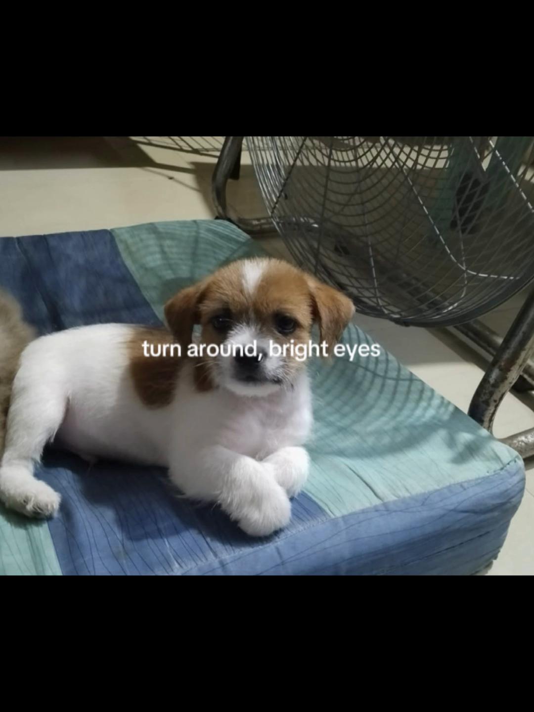 @SARA