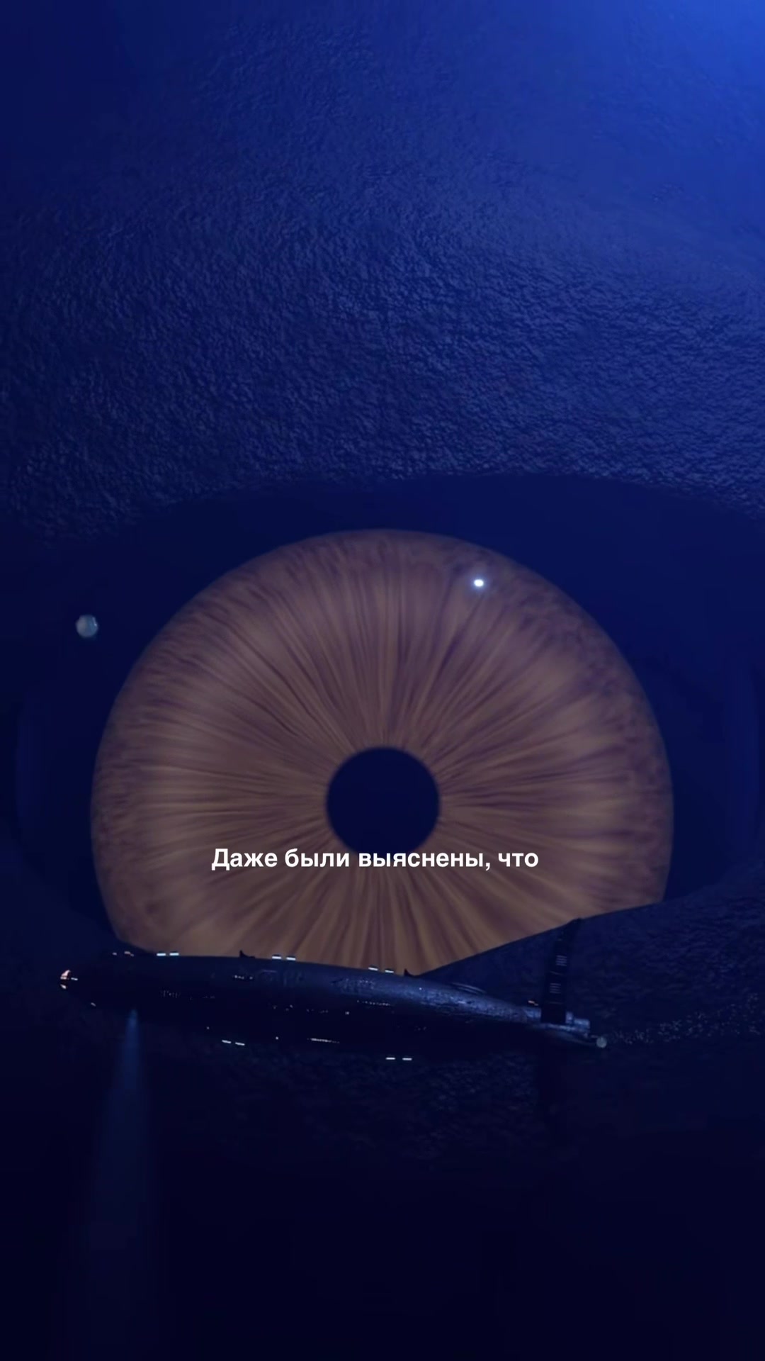 @тгк кружок всратых интересов