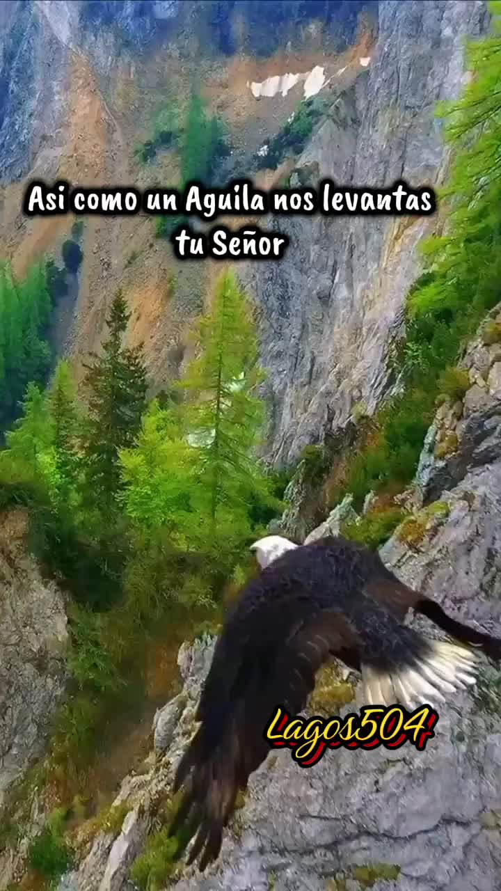 @✝️🇭🇳Lagos504🐒💵