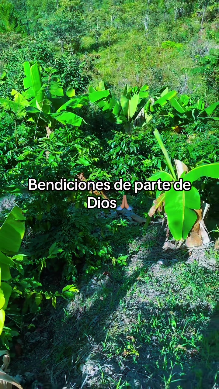 @Manuel Rosa