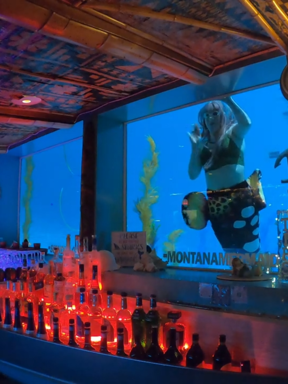 @Little Mermaid Aerial