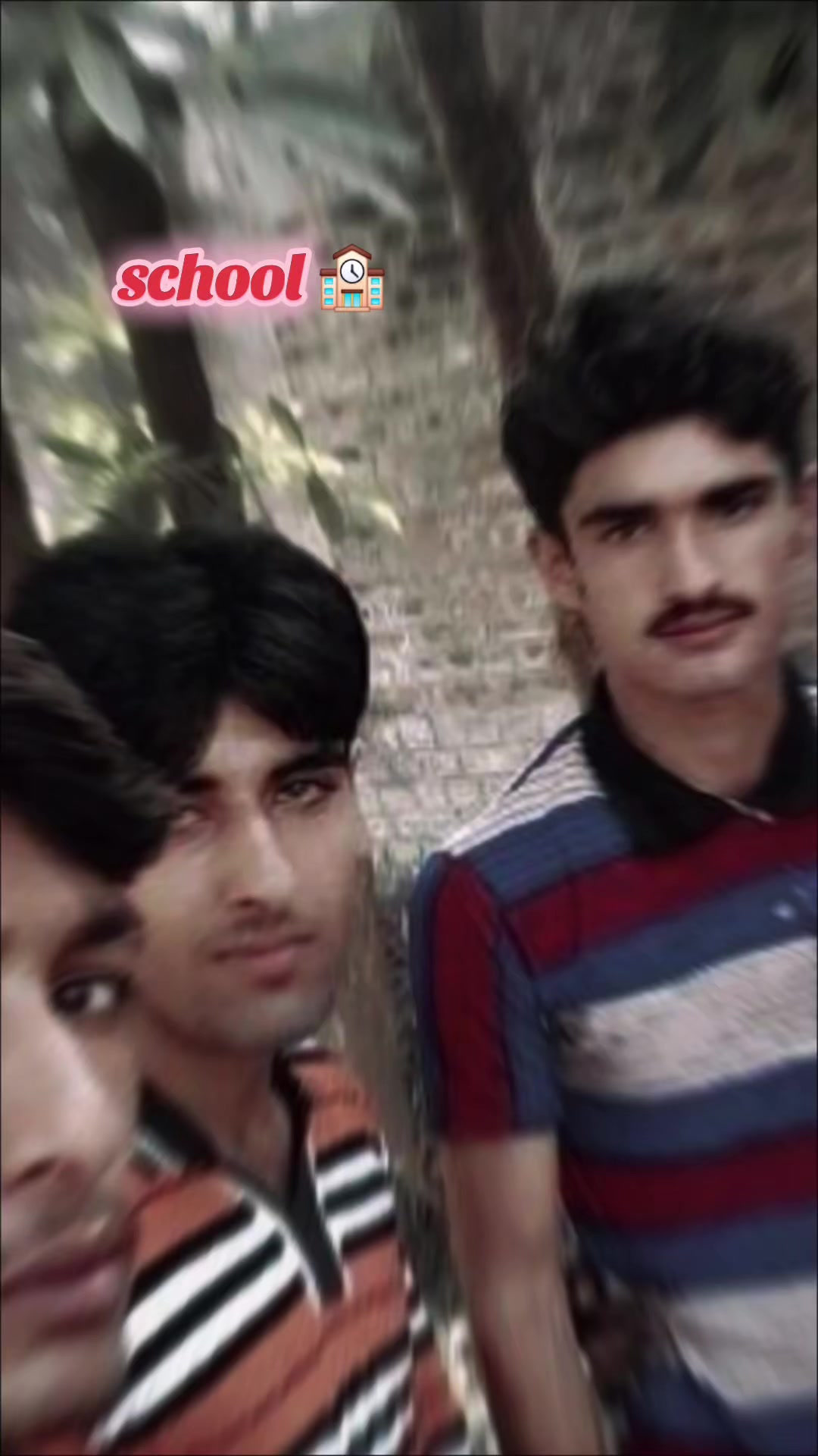 @تارڑ منڈی آلہ