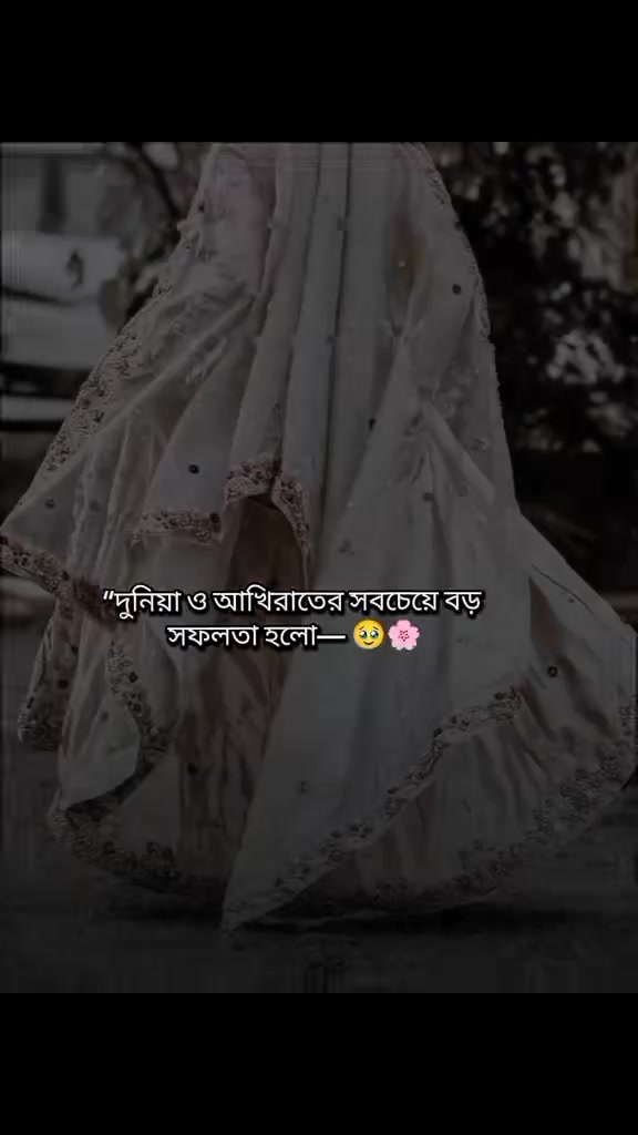 @md Robiul Islam Radwan