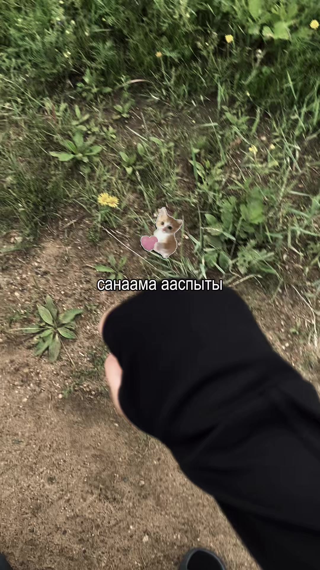 @-𝓛𝓮𝓸𝓷𝓳𝓭𝓸𝓿𝓷𝓪&ldquo;