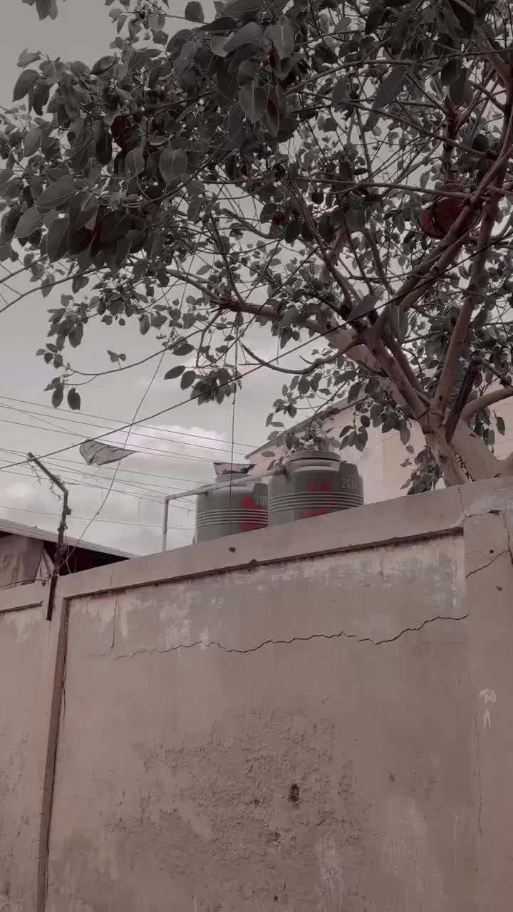 @🔥مغل 🔥