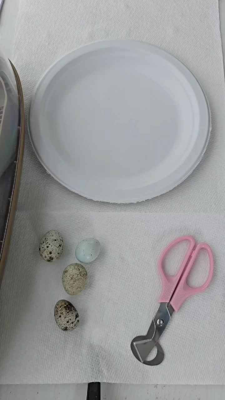 @ActiveMommy