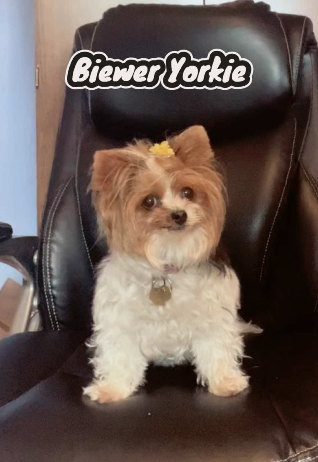 @RicePoison ๐ ๐จ๐ฆ