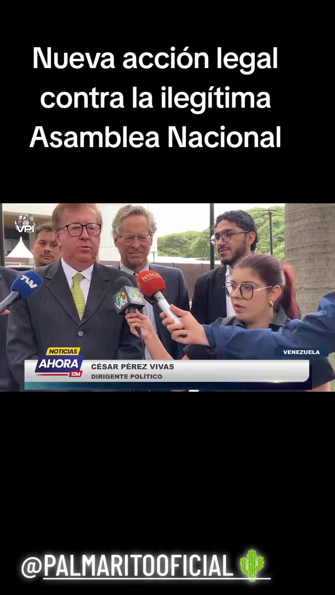 @PALMARITOOFICIAL 🌵