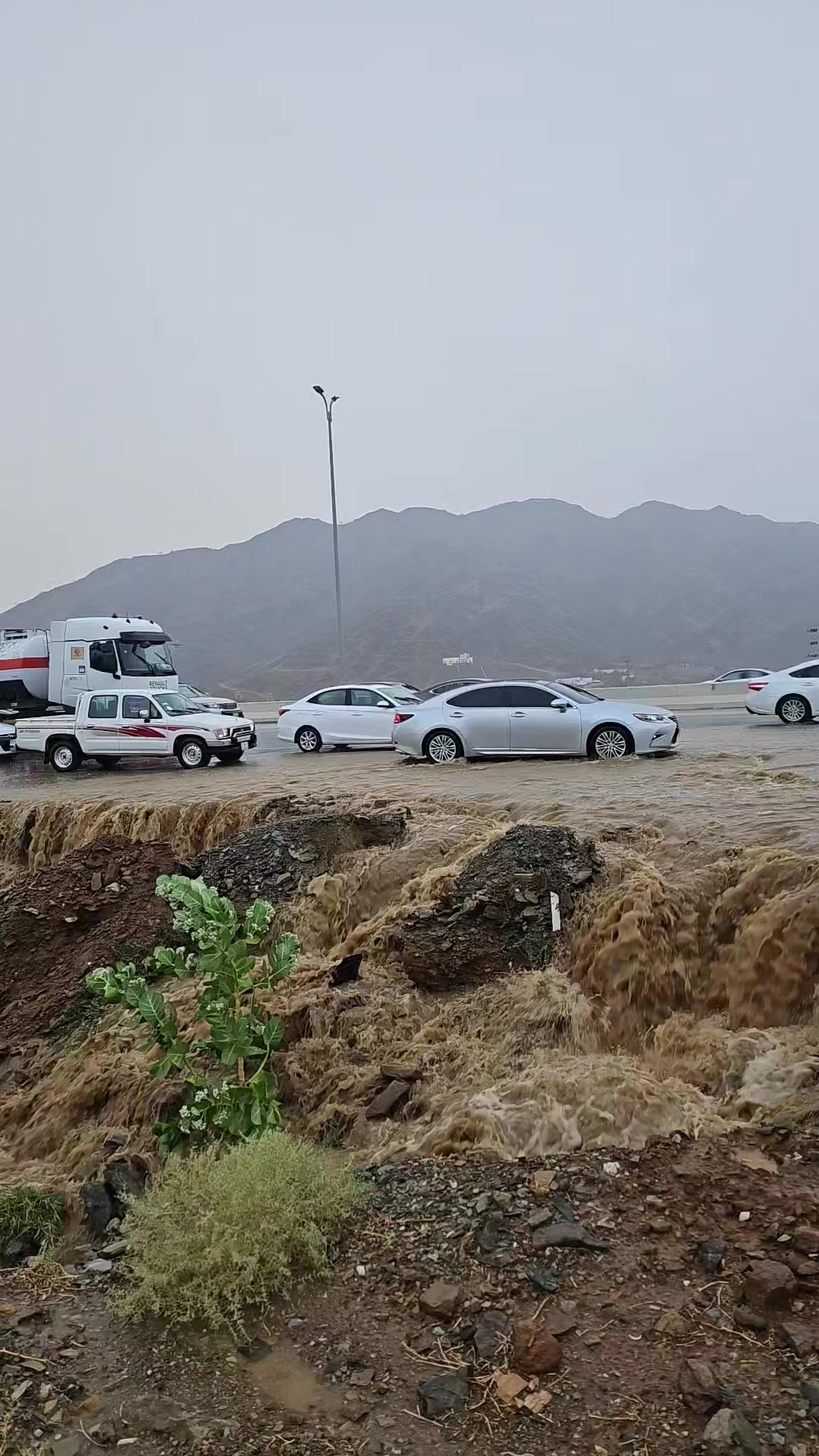 @آبووسآم برق آلَساحل⚡️⛈️