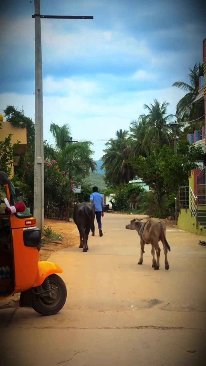 @ఆర్య…..❤️