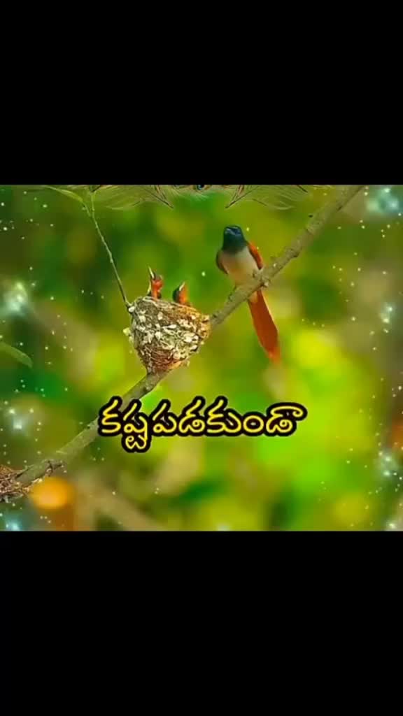 @Ameena Ammeena