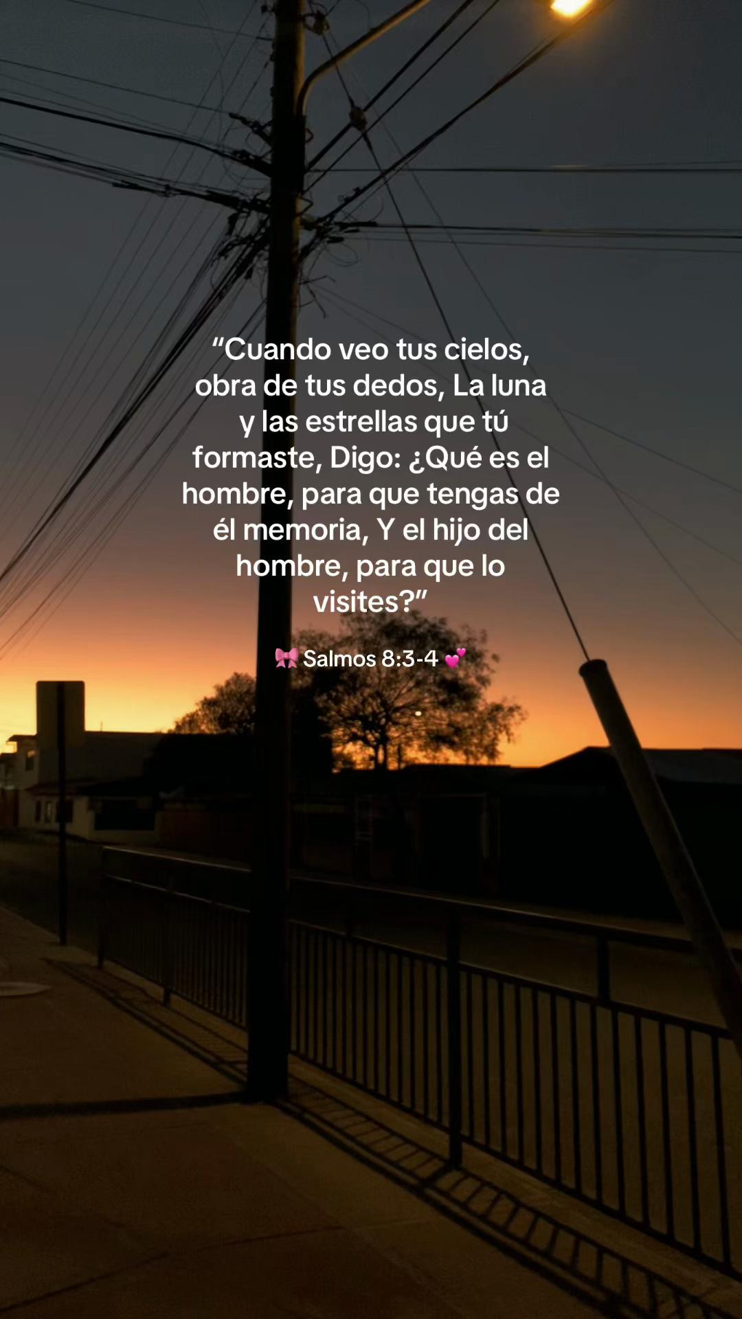 @𝓔𝓿𝓮𝓵𝔂𝓷🌷