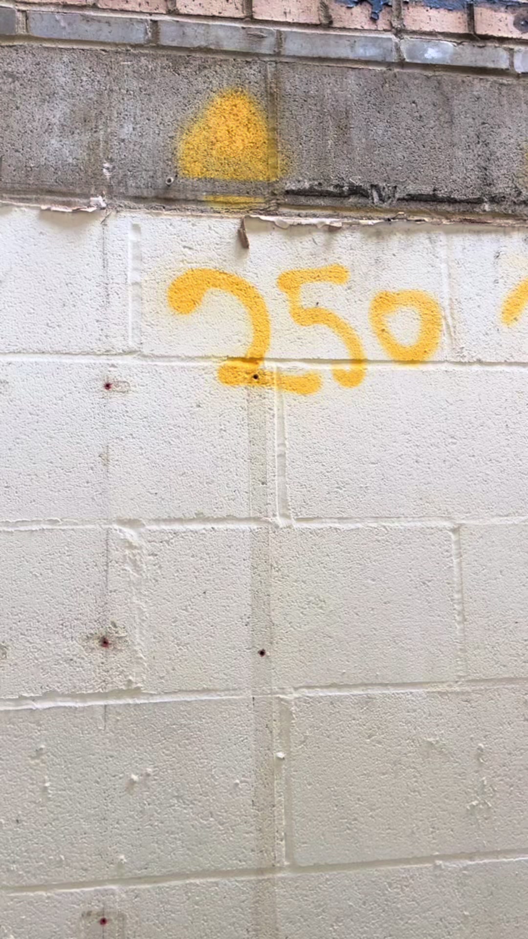 @Elvis