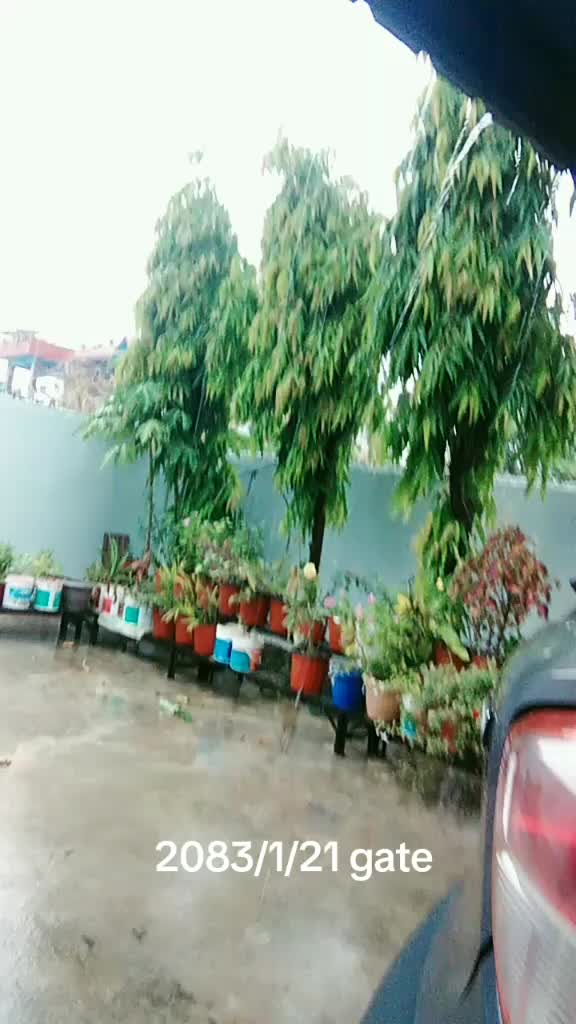 @garima chaudhary