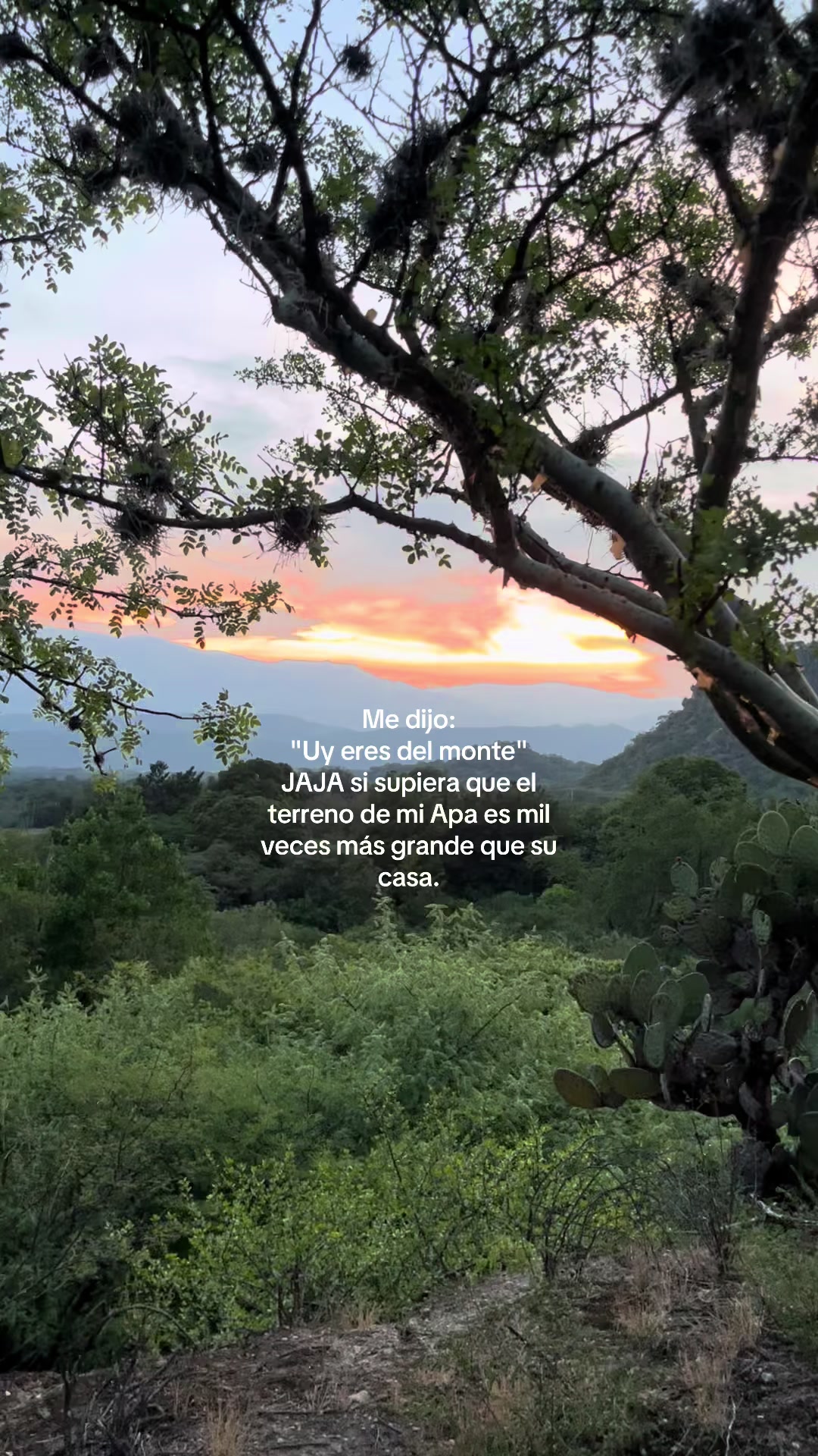 @Lachicadelagro_๐ฉ๐พ๐ฑ