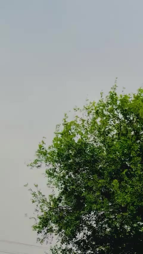 @حسن سندھو