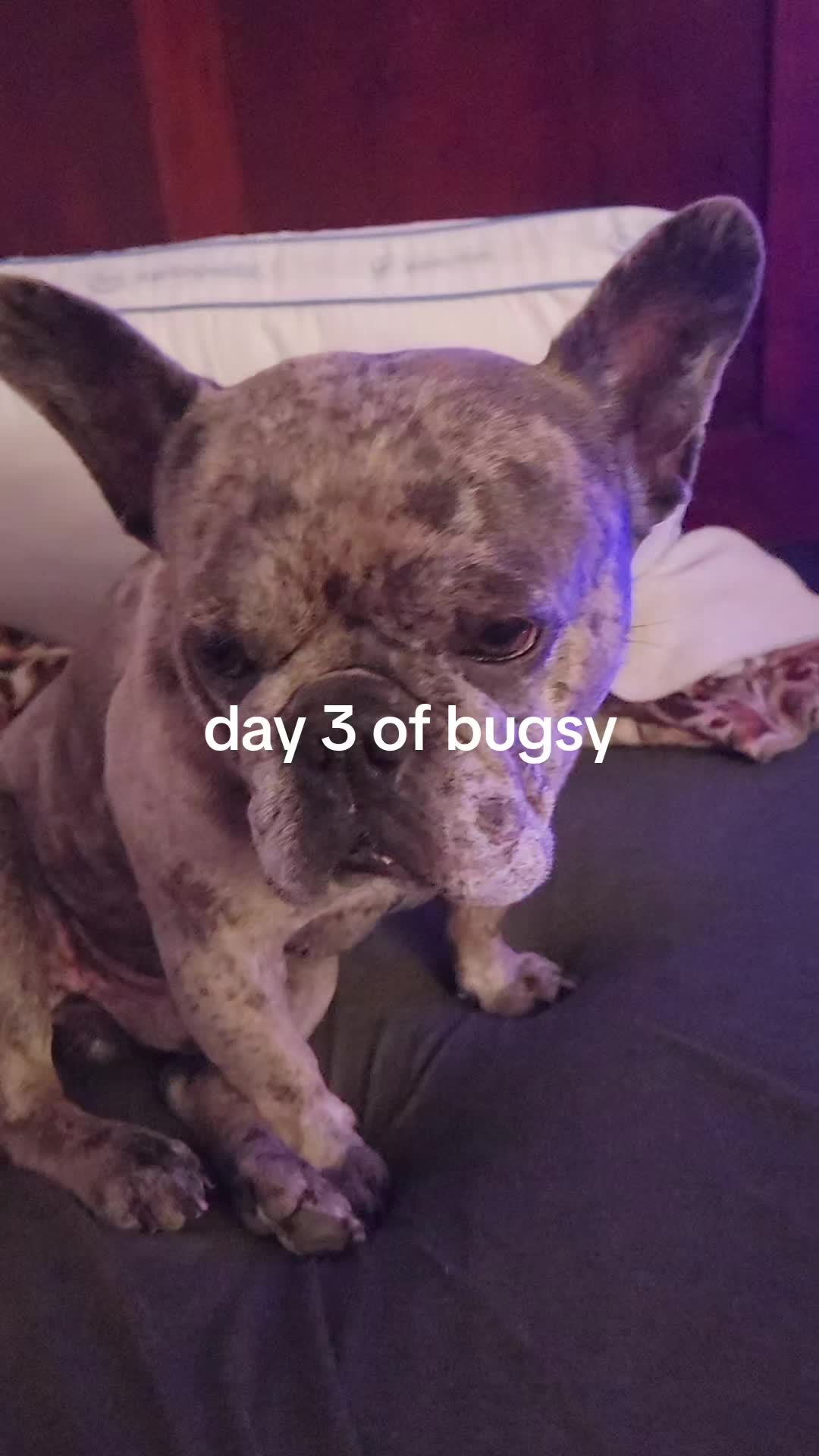 @RusselfromUp