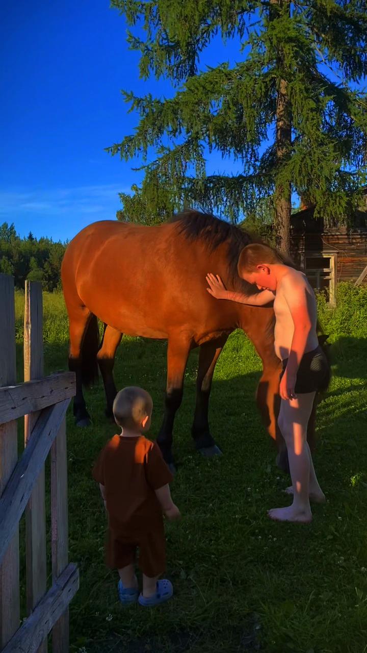 @_Ni_nh_
