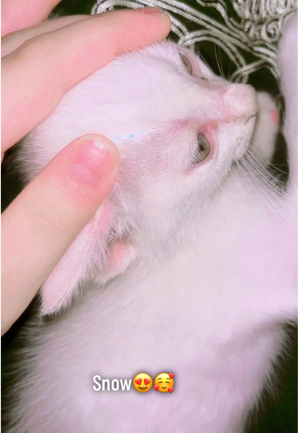 @Billi🥰