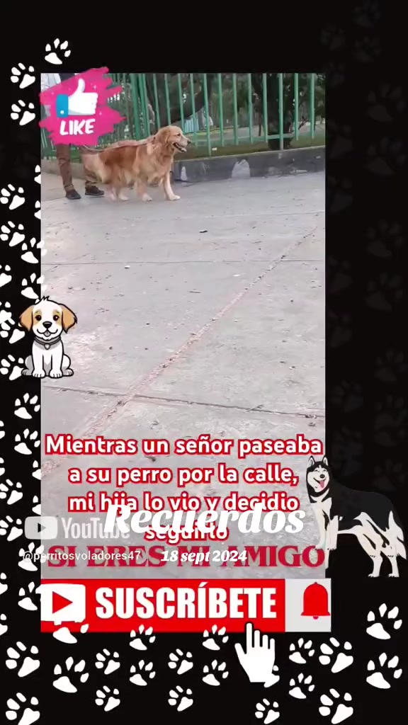 @Perritos Voladores