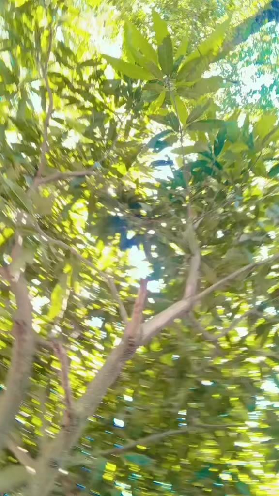 @কষ্টের জীবন আমার😭😭