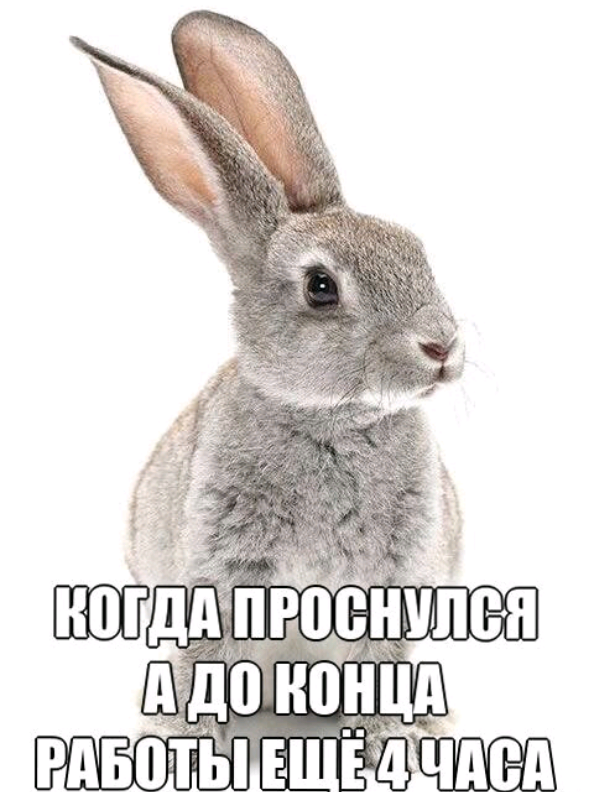 @Это Всё Админ