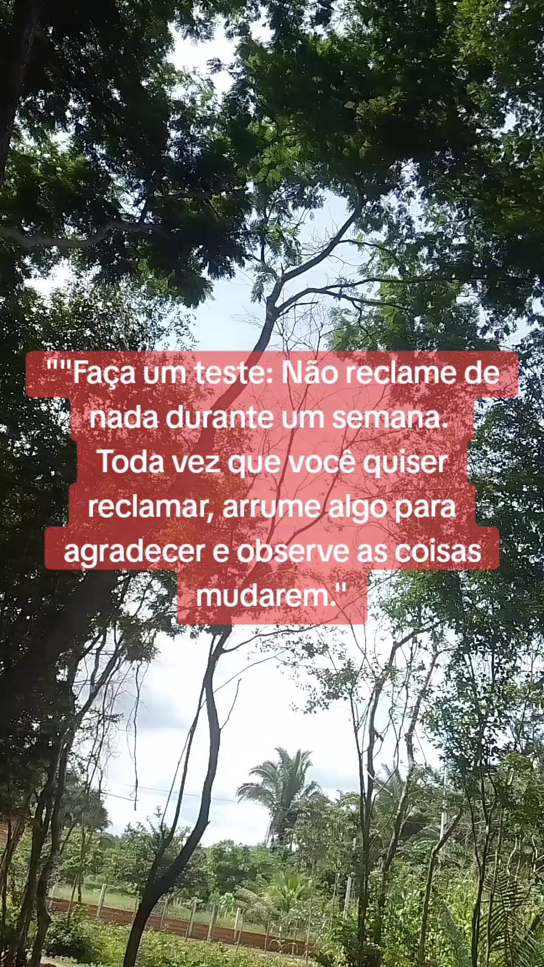 @Marlon Fortes