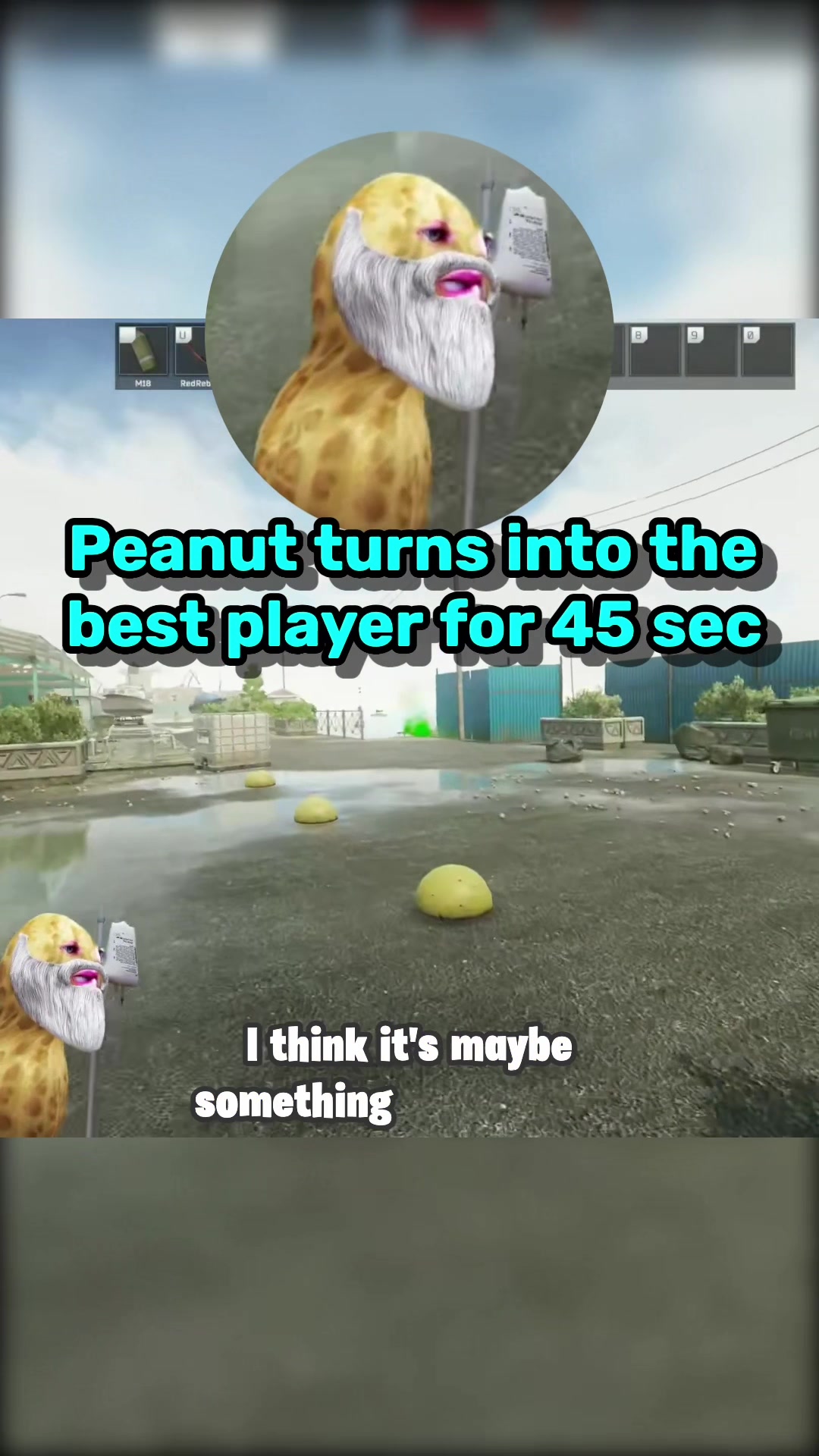 @PeanutClips_Daily