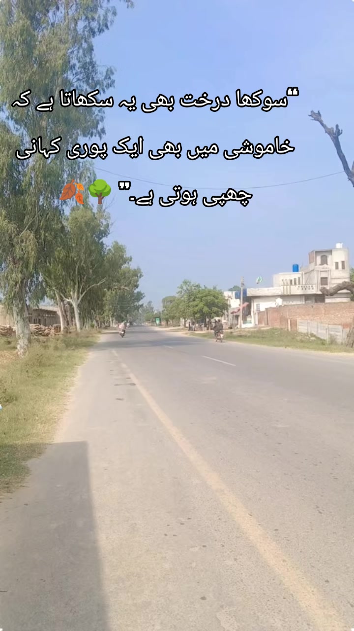 @Tahira bano &hearts;️