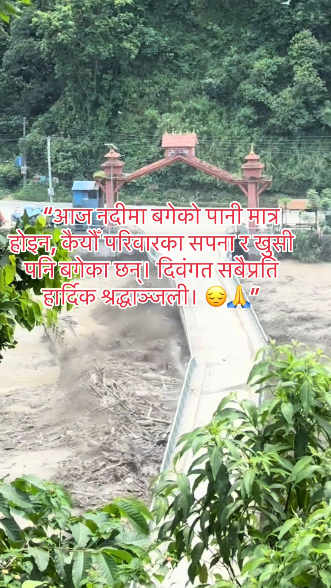 @Dr Nitu yadav