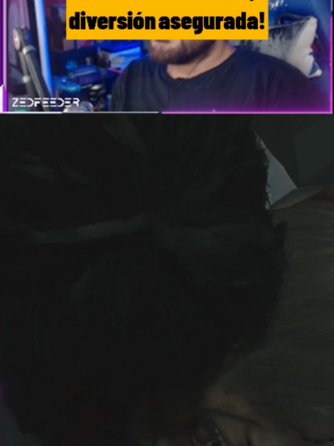 @ZED