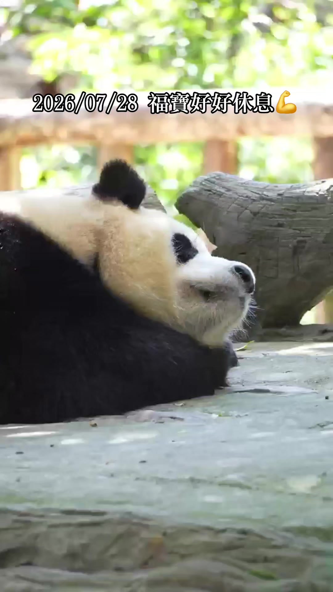 @福寶需要愛的抱抱
