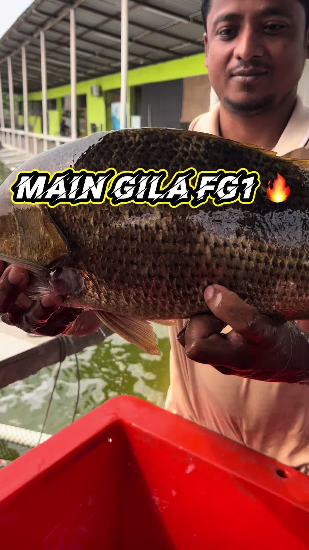 @M Z Reel 🎣