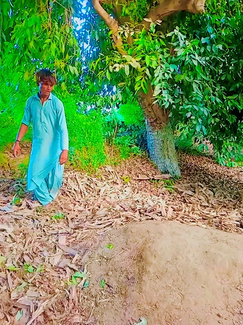 @Teerath Parmar Jani I,M King👑