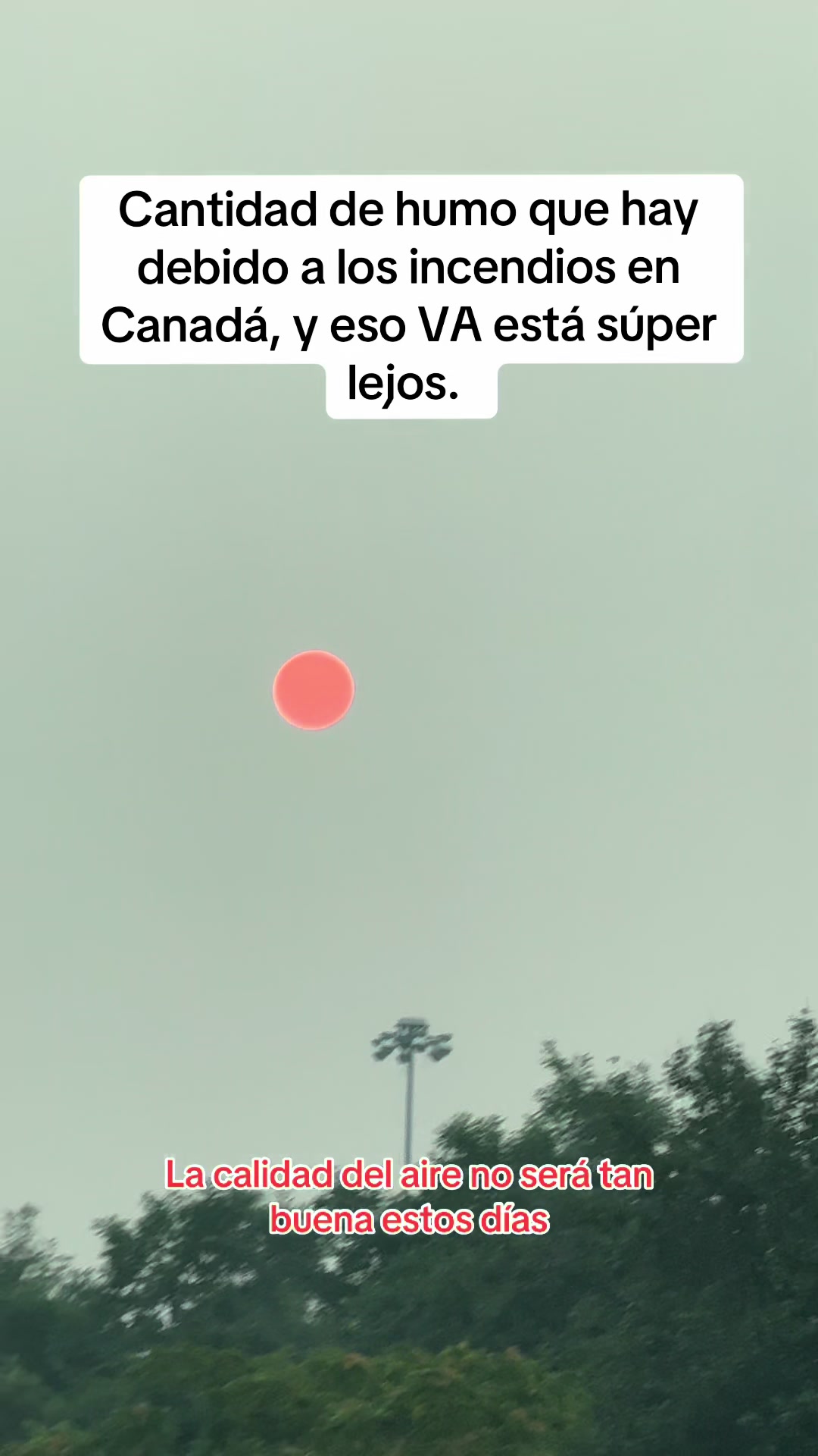 @Abel Velásquez 🦺👷♂️