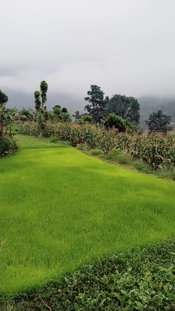 @Devi Khatri