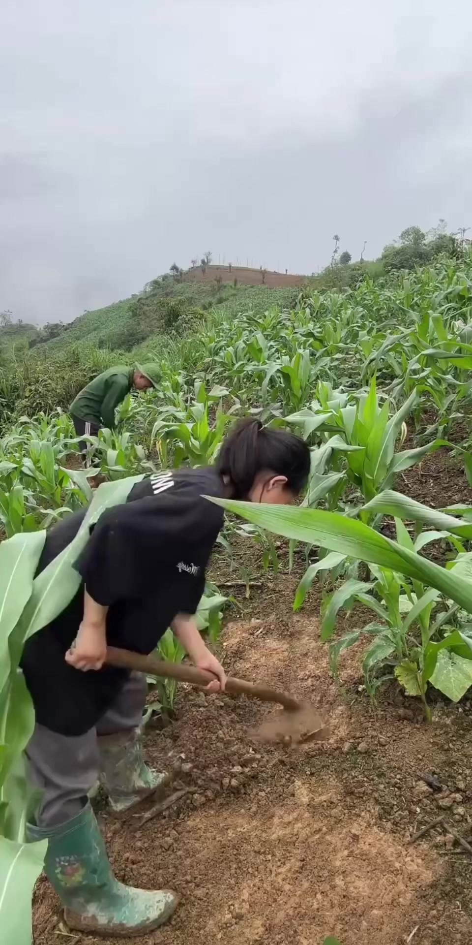 @๐๐๐๐ ๐๐ช๐ฃ ๐