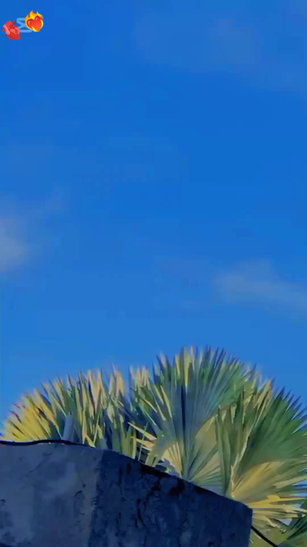 @🦋⃝ꕷɑ𝕝α𝐫🦋⃝