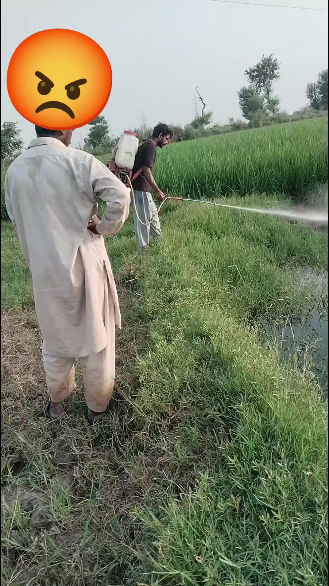 @Haji Rashid Jutt