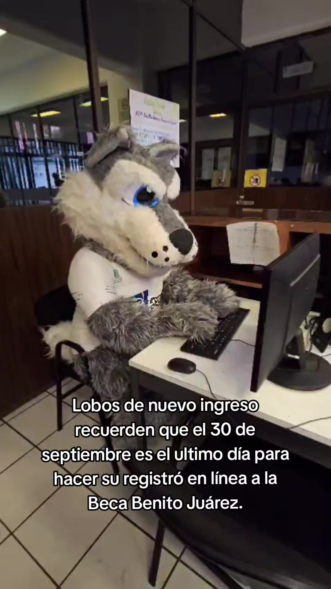 @Lobacho