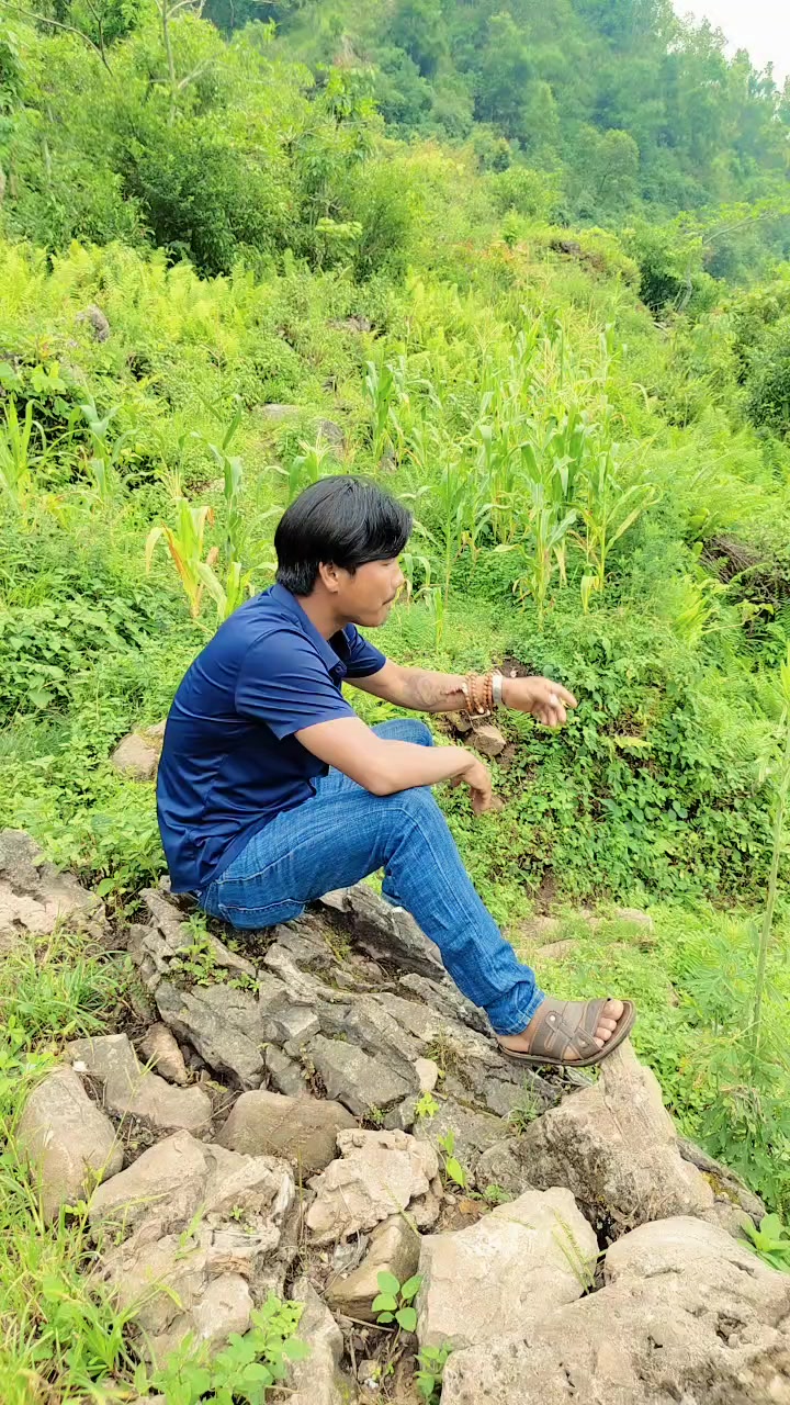 @simal tare k...