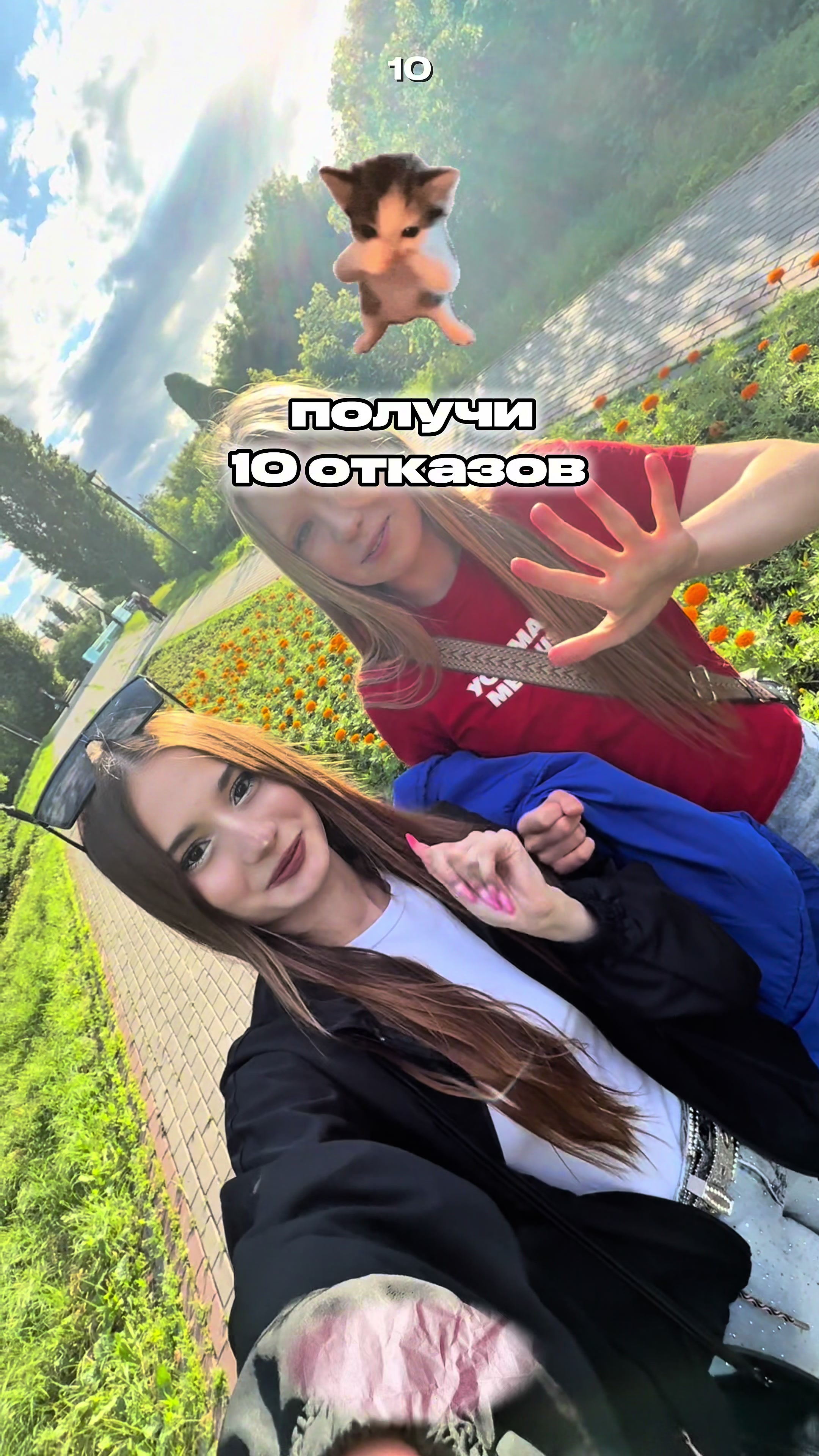 @мышка киви