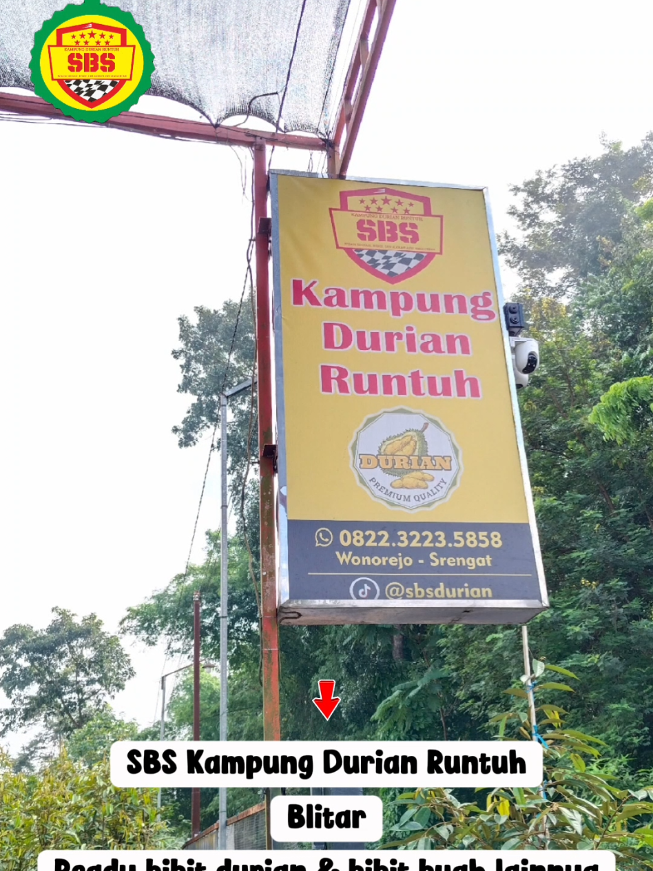 @Produksi Buah_SBS