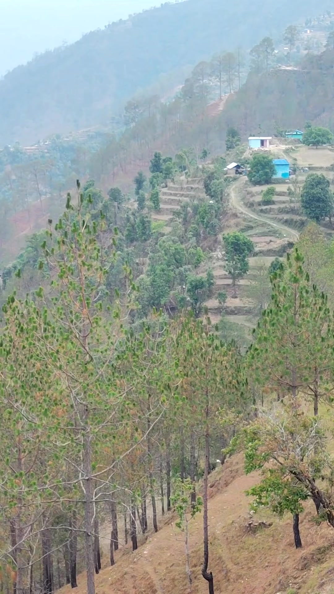@Ganesh singh(thakuri)