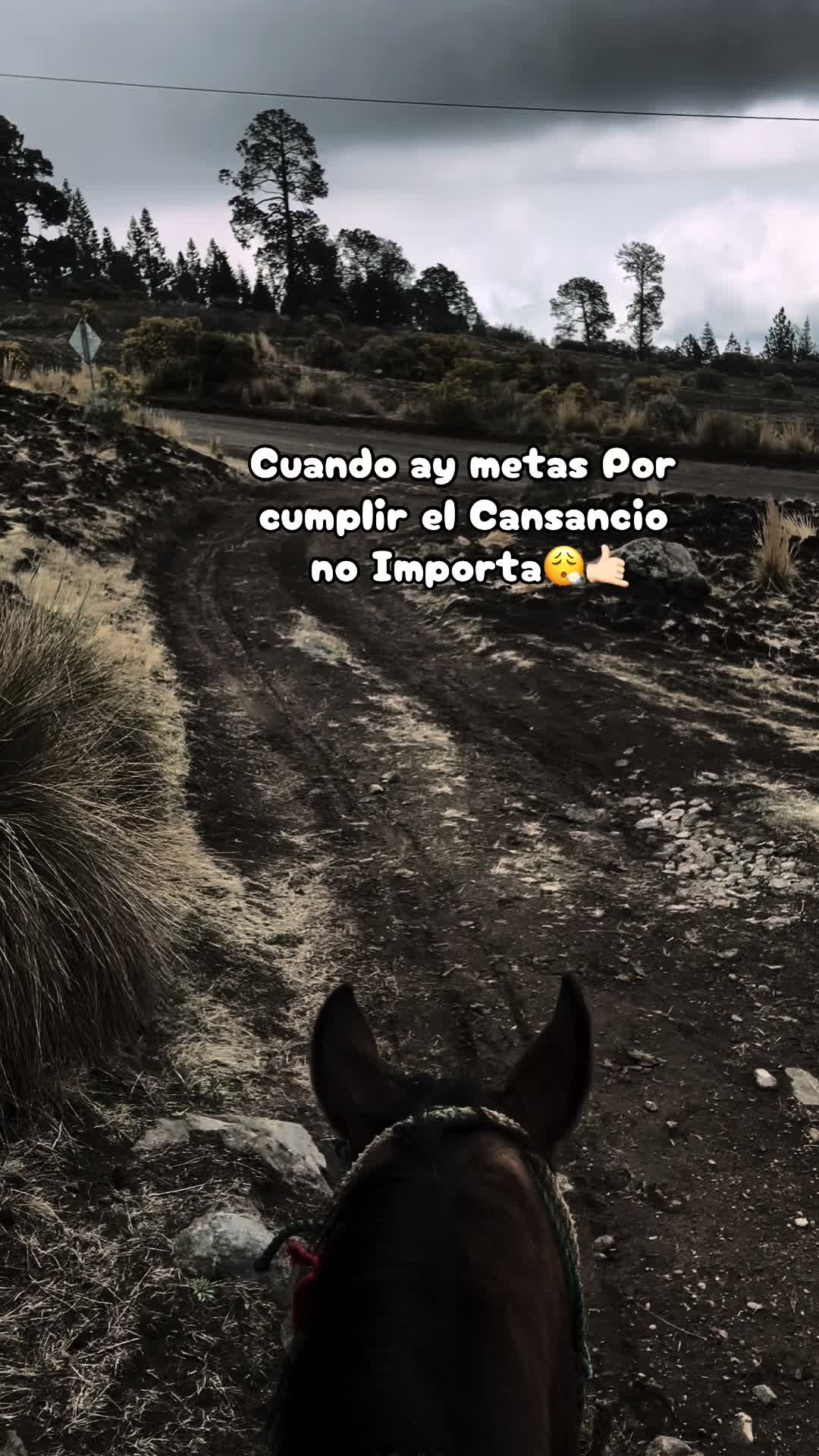 @Quinterito