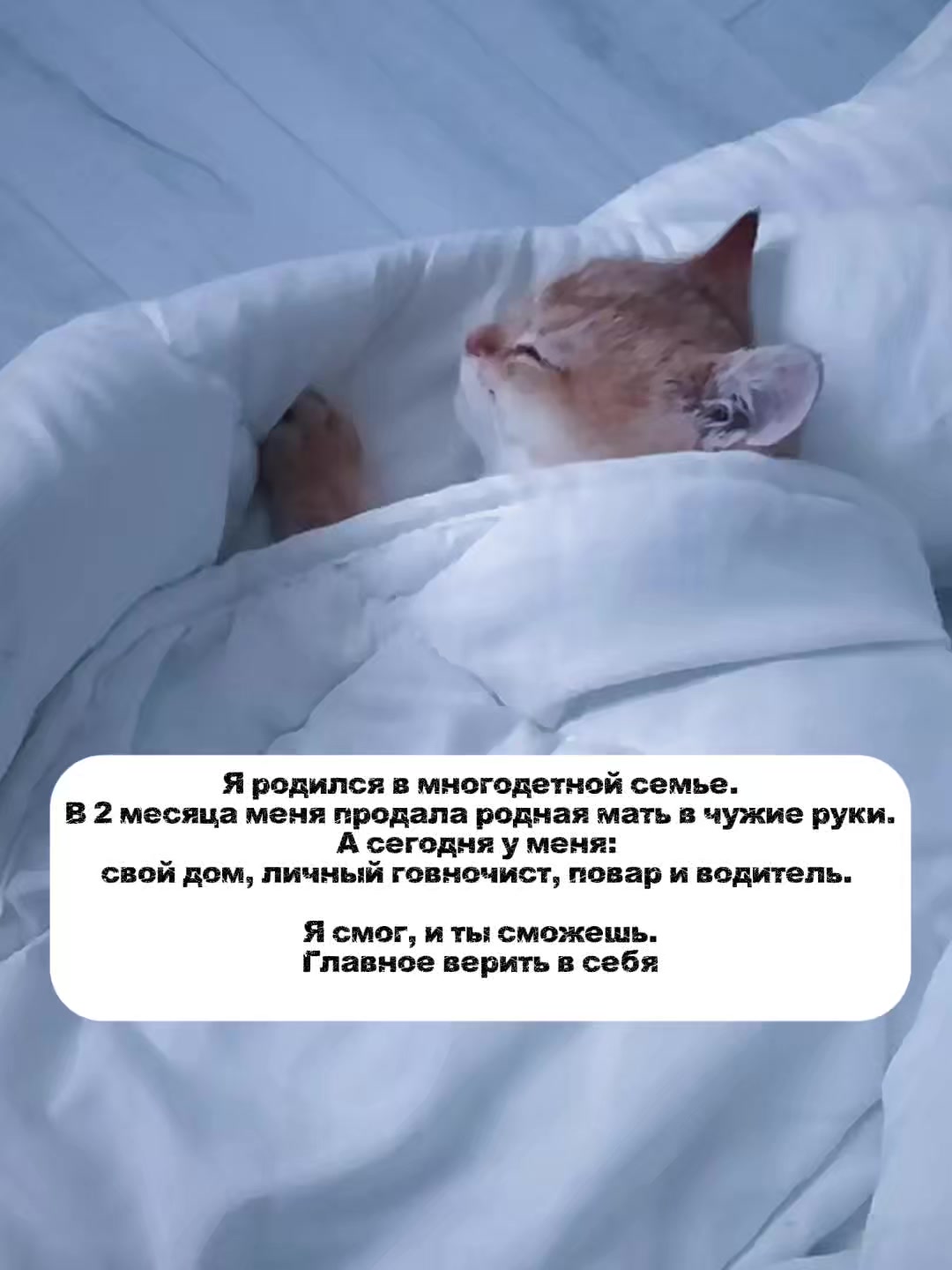 @𝒴𝓊𝓁𝒾𝓎𝒶🏹