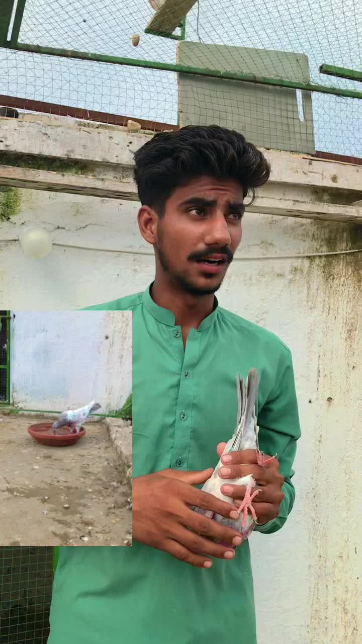 @Saif,Mughal,g