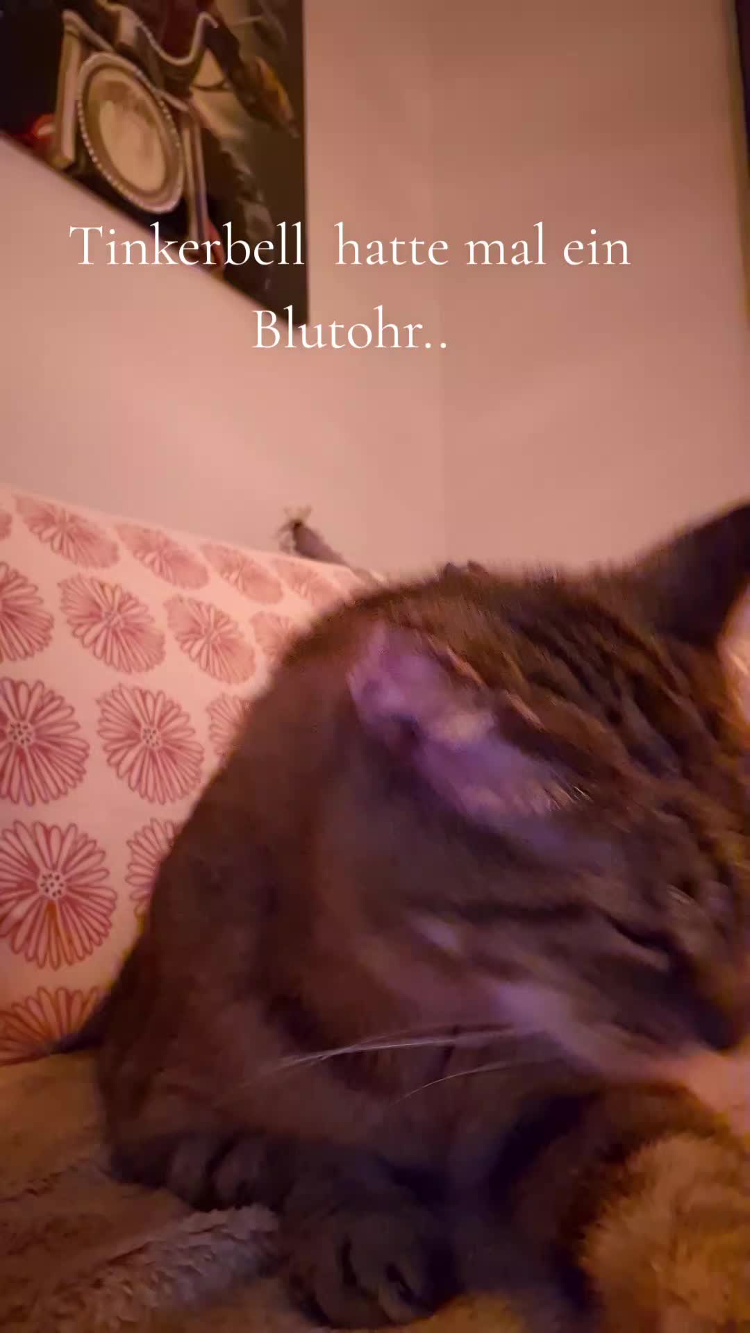 @Klausi24/7