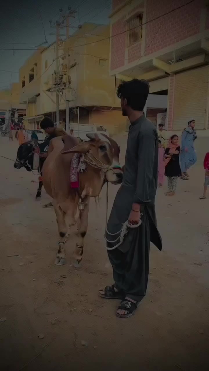 @عابر سواتی🫠
