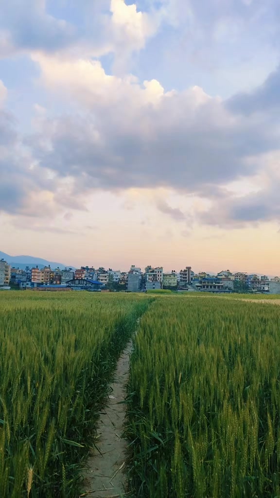 @sakuntala bajracharya